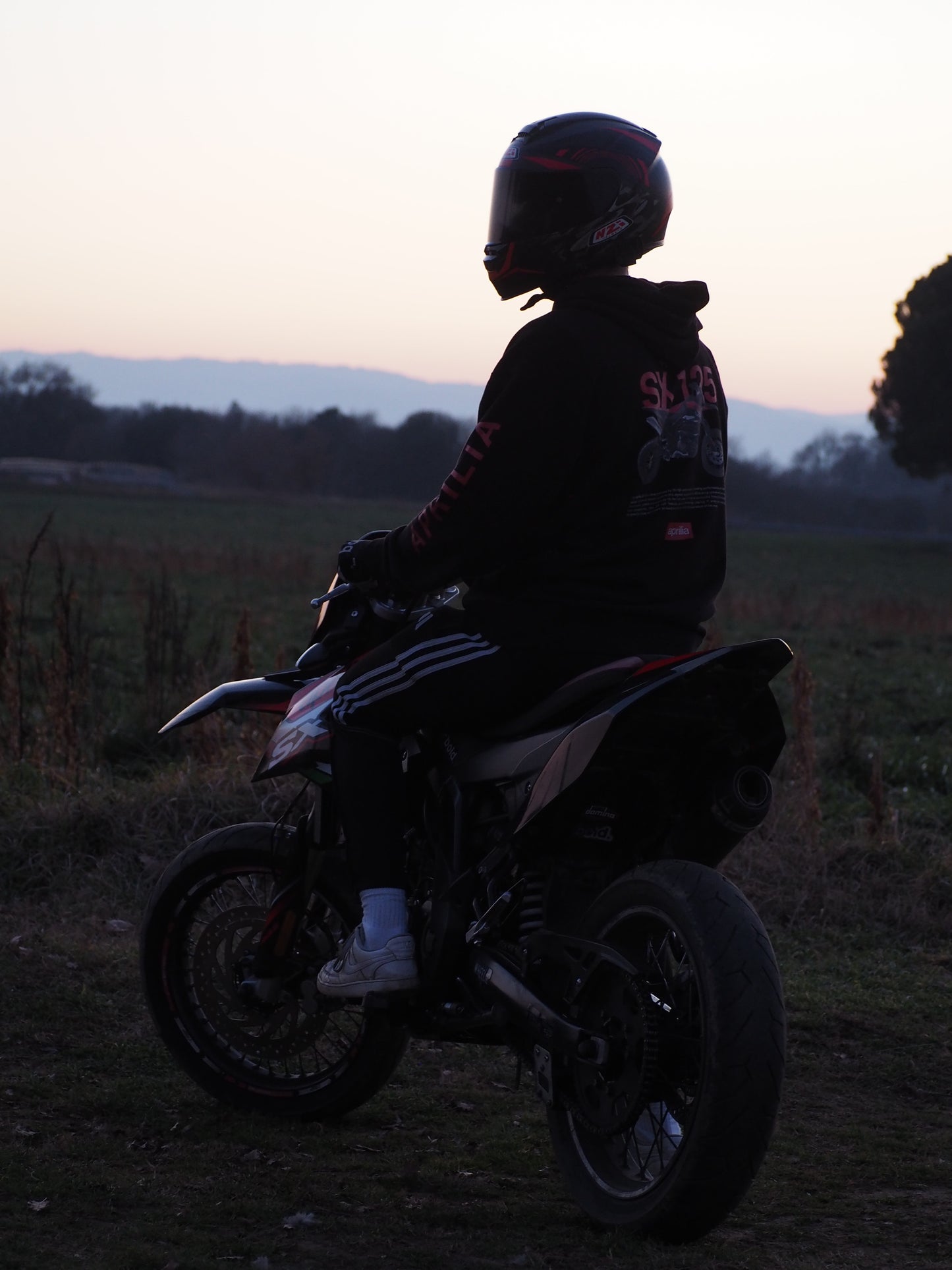 WHEELLY HOODIE